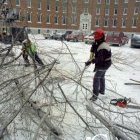 Il faut nettoyer les lieux. Ici, des travailleurs s'affairent à ramasser et à couper les branches qui jonchent le sol devant l'immeuble du 2200 Pratte.