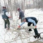 Le parc Les Salines n'a pas été épargné. Des travaux de nettoyage sont nécessaires afin de dégager les sentiers et les sous-bois. Des employés s'y affairent.