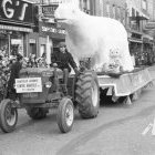 Un ours polaire sur des Cascades!</br>1962. - Fonds Raymond Bélanger, CH548.