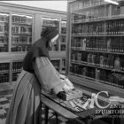 À la bibliothèque